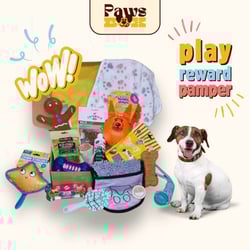 8e34368128e746c2ac75879c021f7ac5_tplv-tulkllf4y5-origin-jpeg