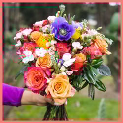 FeastYourEyes_8d352961-0e11-4216-886c-e55d547ae700.png