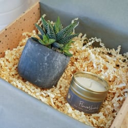 Grey Potted Plant and Handpoured Candle Gift Set 2