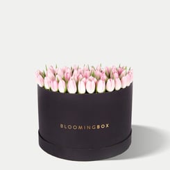 Medium Tulip Box 2