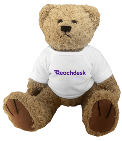 Reachdesk teddy bear