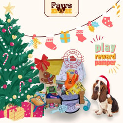 paws xmas